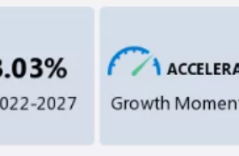 Digital Image Body Statistics 2024 and Info