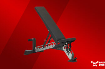 Titan Collection Adjustable Bench Evaluate (2024)