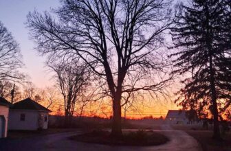 The Little Issues Publication #403 – Life, laughter, and many nice meals!