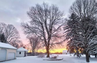 The Little Issues E-newsletter #404 – Life, laughter, and many nice meals!