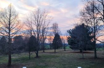 The Little Issues E-newsletter #405 – Life, laughter, and many nice meals!