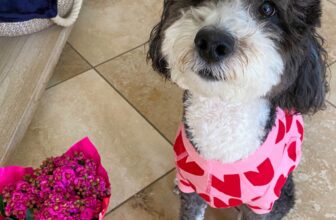 Friday Faves 2.16 – The Fitnessista