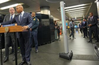 NYC Is Including AI Metallic Detectors to the Subway