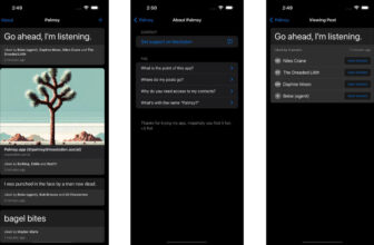 Journaling app Palmsy affords faux likes from actual mates