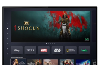 Hulu on Disney+ formally launches, bringing collectively Mickey Mouse and The Handmaid’s Story