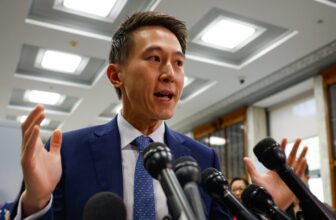 TikTok ‘Ban’ Invoice Passes within the Home