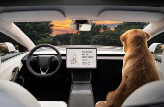 Tesla will reportedly take clients on a check drive to indicate off its Full Self-Driving tech