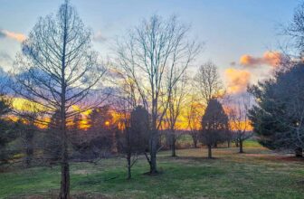 The Little Issues E-newsletter #406 – Life, laughter, and plenty of nice meals!