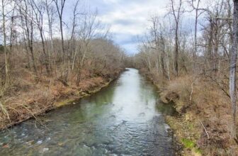 The Little Issues E-newsletter #407 – Life, laughter, and plenty of nice meals!