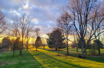 The Little Issues E-newsletter #408 – Life, laughter, and many nice meals!