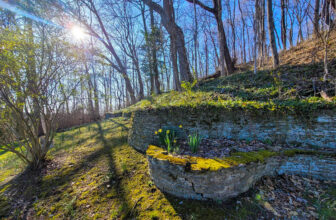 The Little Issues E-newsletter #409 – Life, laughter, and many nice meals!