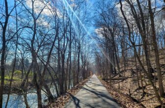 The Little Issues E-newsletter #410 – Life, laughter, and many nice meals!