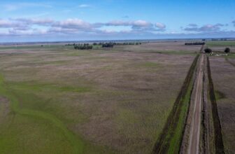 Tech Billionaires’ Mission to Construct a New Metropolis Accused of Tricking Individuals Into Signing Petition