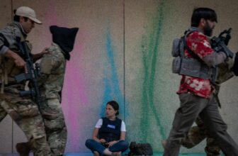 See How Alex Garland’s Civil Warfare Divides the US