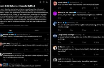 Elon Musk’s Grok Creates Weird Faux Information Concerning the Photo voltaic Eclipse Due to Jokes on X