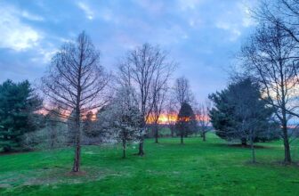 The Little Issues E-newsletter #411 – Life, laughter, and many nice meals!